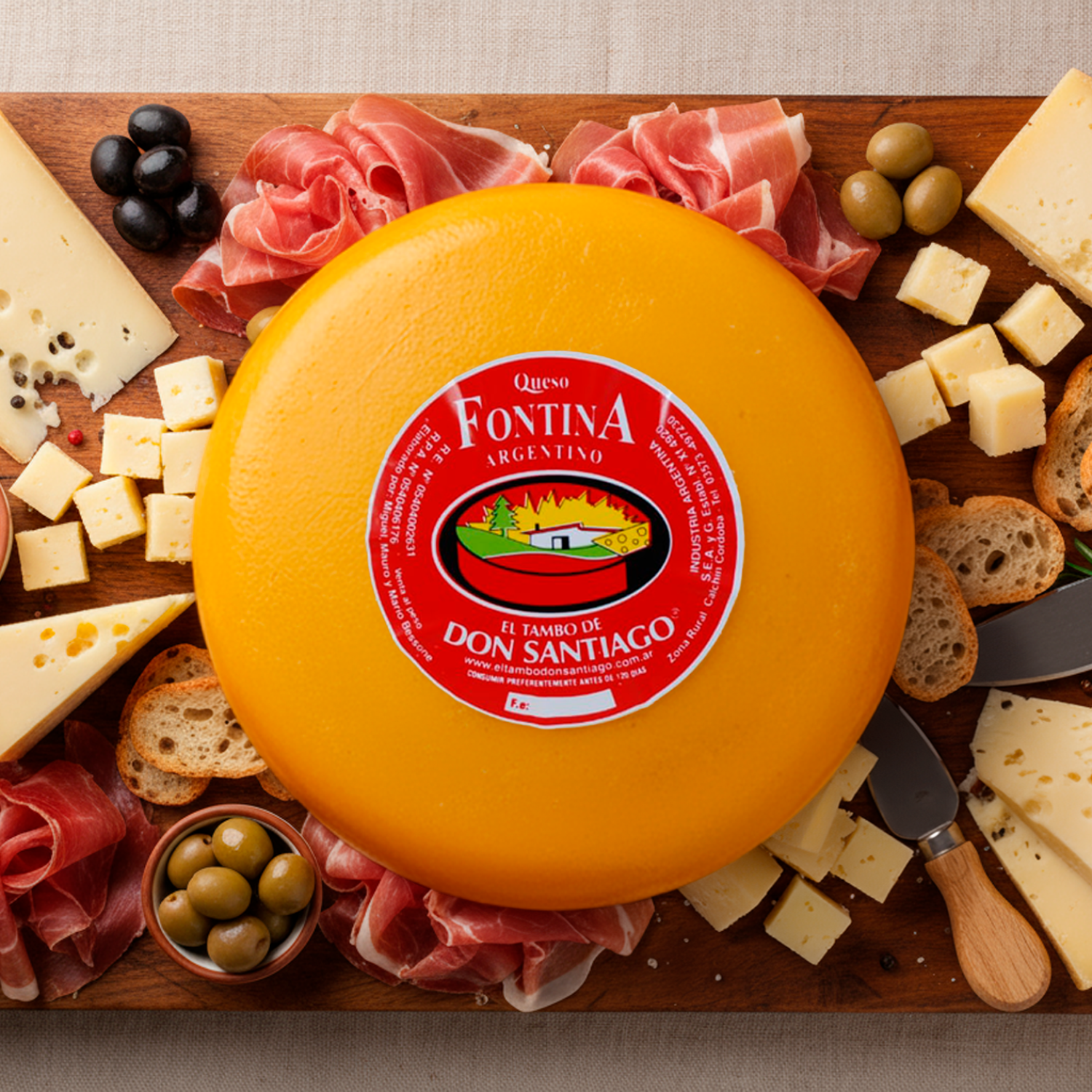 Queso Fontina